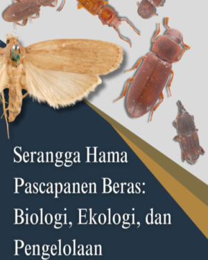 SERANGGA HAMA PASCAPANEN BERAS: BIOLOGI, EKOLOGI, dan PENGELOLAAN