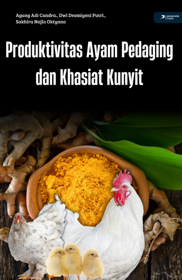 PRODUKTIFITAS AYAM PEDAGING DAN KHASIAT KUNYIT