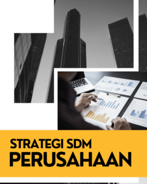 STRATEGI SDM PERUSAHAAN