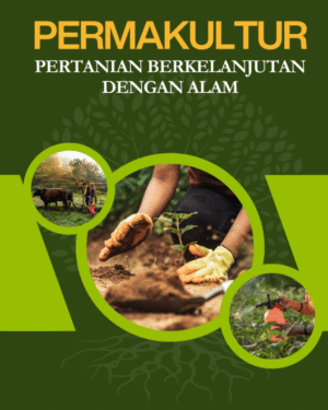 PERMAKULTUR: PERTANIAN BERKELANJUTAN DENGAN ALAM